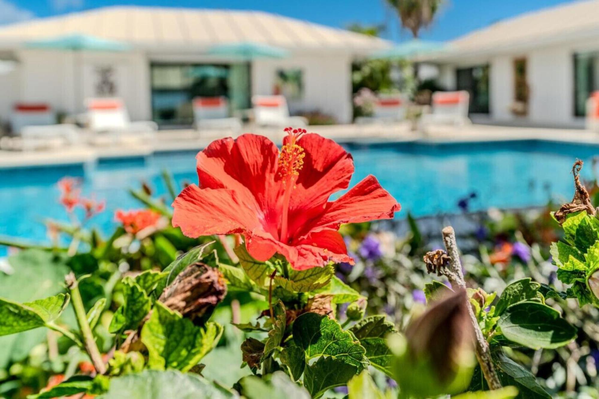 Royal Villa With A Huge Swimming Pool Cowell Battery 외부 사진